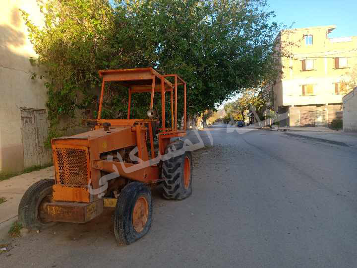 مسكيانة الجميلة